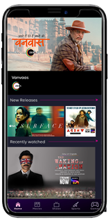 Watch 30+ OTT apps in one Binge app